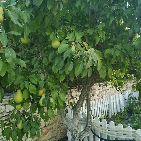 Guest house Maison De Campagne *